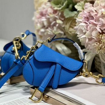 디올 DIOR 새들백12CM