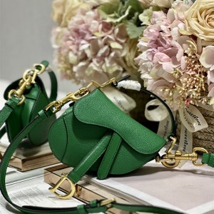 디올 DIOR 새들백12CM