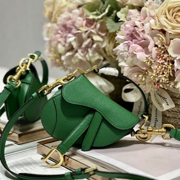 디올 DIOR 새들백12CM