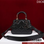 디올 DIOR 레이디백25CM