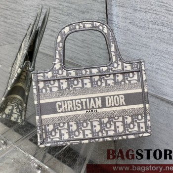 디올 DIOR 북토트백23CM