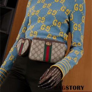 구찌 GUCCI 오피디아 유틸리티 벨트백 698805