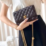 샤넬 CHANEL WOC 체인 크로스백 금장/은장