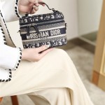 디올 DIOR  케이스 스몰 베니티