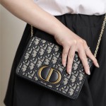 디올 DIOR 30 몽테인 오블리크 벨트백