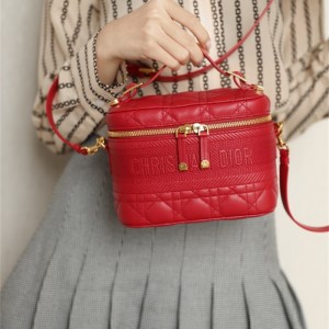 디올 DIOR 케이스 스몰 베니티