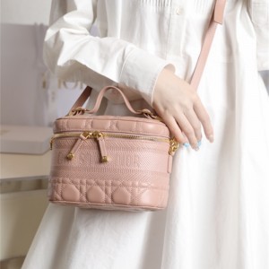 디올 DIOR 케이스 스몰 베니티