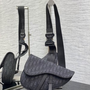 디올 DIOR 오블리크 벨트백 범백 