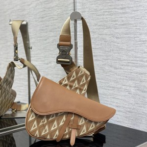 디올 DIOR 벨트백 범백 