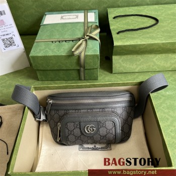 구찌 GUCCI 인터로킹 GG 오피디아 벨트백  733868