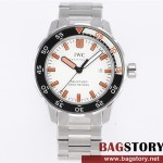 샤프하우젠 IWC