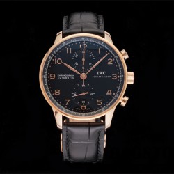 샤프하우젠 IWC