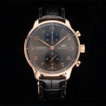 샤프하우젠 IWC