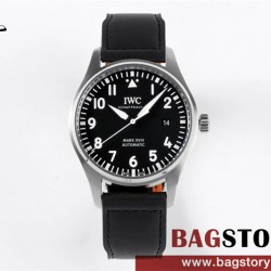샤프하우젠 IWC