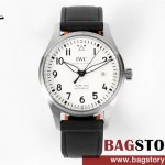 샤프하우젠 IWC
