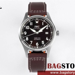 샤프하우젠 IWC