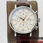샤프하우젠 IWC
