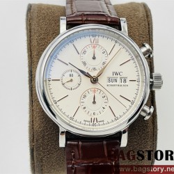 샤프하우젠 IWC