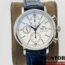 샤프하우젠 IWC