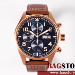 샤프하우젠 IWC