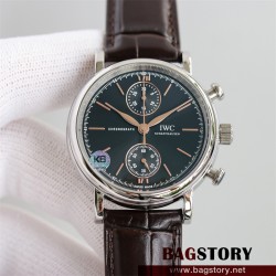 샤프하우젠 IWC