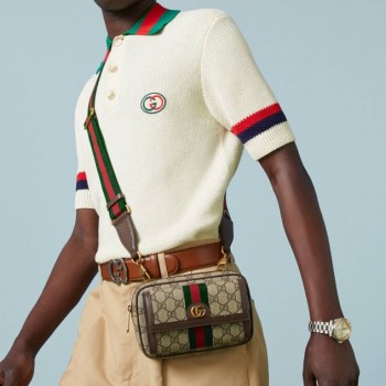 구찌 GUCCI  오피디아  GG 미니백 746308