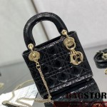 디올 DIOR 레이디백17CM