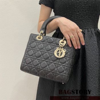 디올 DIOR 레이디백24CM