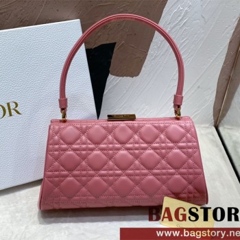 디올 DIOR 핫신상 레이디 핸드백