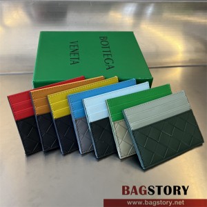 보테가베네타 BV 카드지갑 749449