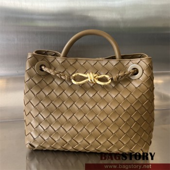 보테가베네타 BV 스몰 안디아모 토트백 743568 25cm