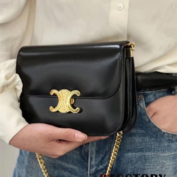 셀린느 CELINE  컬리지 트리오페 숄더백 113583