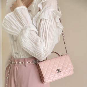 샤넬 CHANEL 신상 23k WOC크로스백