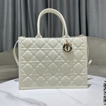 디올 DIOR 신상 레이디 토트백 36cm