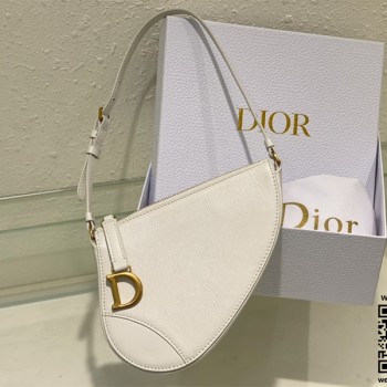 디올 DIOR 새들백 20CM