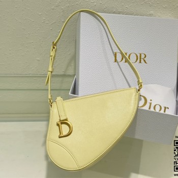 디올 DIOR 새들백 20CM
