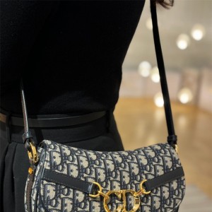 디올 DIOR 베사체 스몰백 24cm