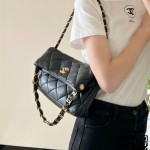 샤넬 CHANEL 신상 호보백 스몰