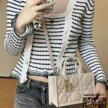 디올 DIOR 북토트백 21.5cm