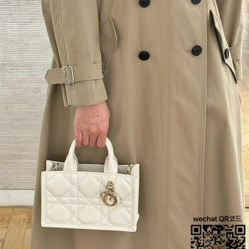 디올 DIOR 북토트백 21.5cm