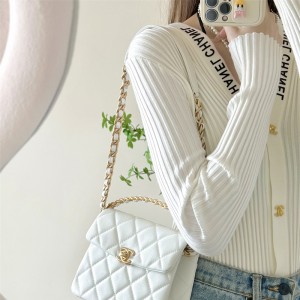 샤넬 CHANEL 신상 체인 핸들백