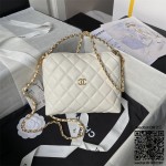 샤넬 CHANEL 신상 체인 버킷백 핸들 미니 숄더백 클러치 캐비어  AP4066