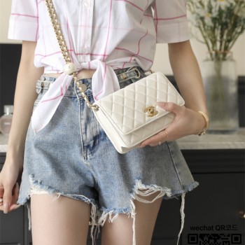 샤넬 CHANEL 신상 woc 크로스백