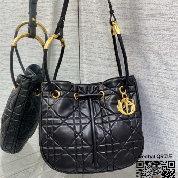 디올 DIOR 신상 노리타 미디움백