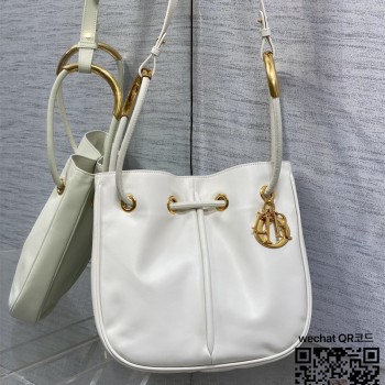 디올 DIOR 신상 노리타 미디움백