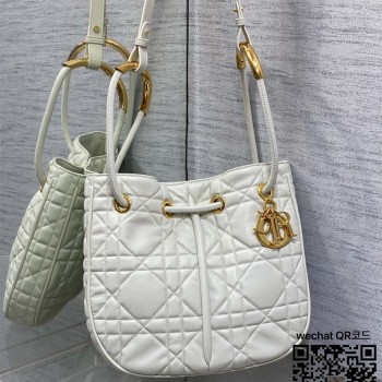 디올 DIOR 신상 노리타 미디움백