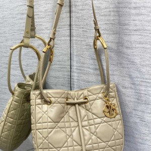 디올 DIOR 신상 노리타 미디움백