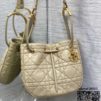 디올 DIOR 신상 노리타 미디움백