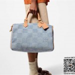 루이비통 Louis Vuitton  스피디 40 반둘리에 N40701