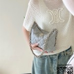 샤넬 CHANEL 신상  호보백